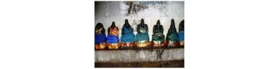 242. திருக்குரங்கணின்முட்டம்